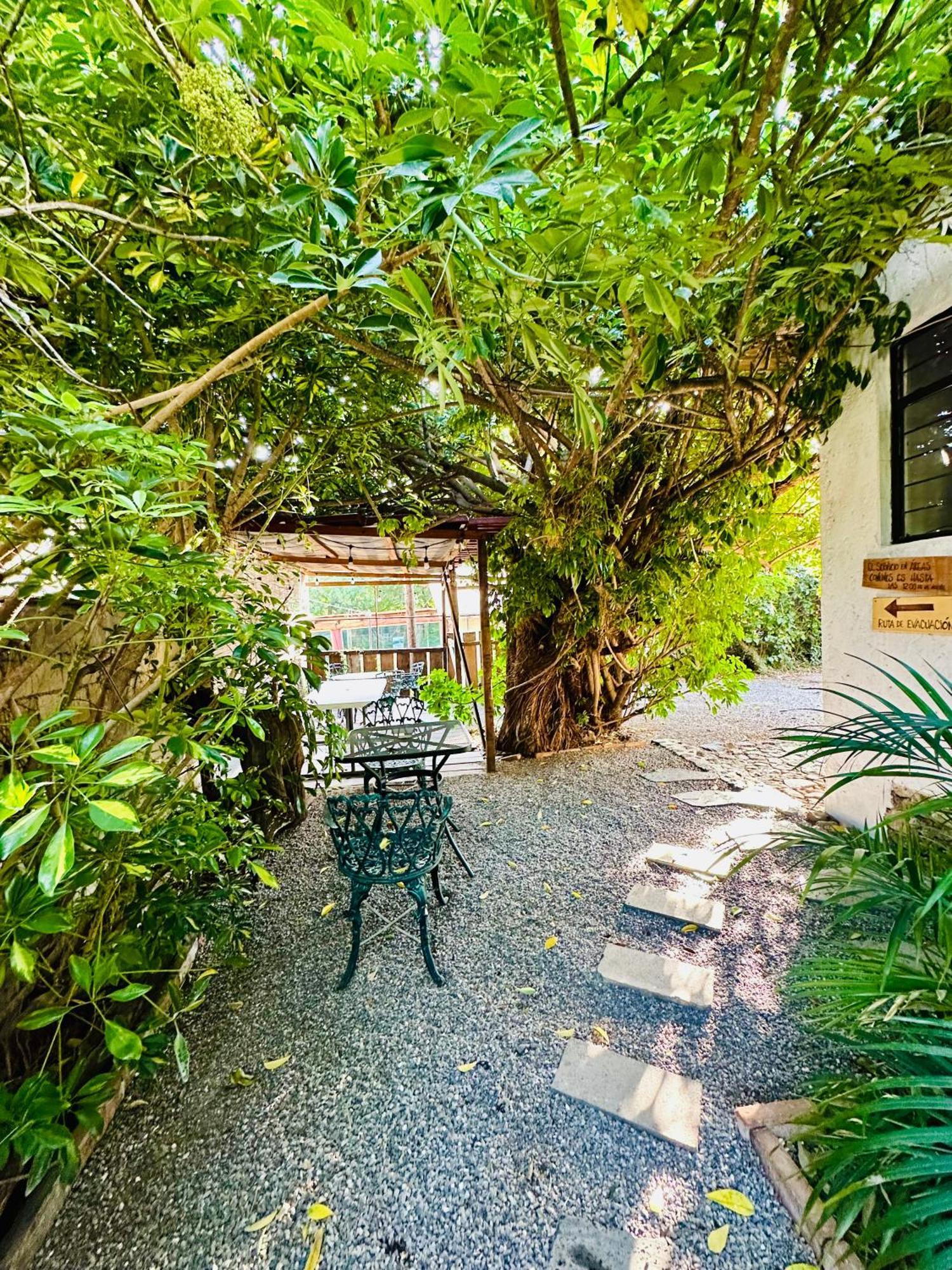 Posada Teopanco Tepoztlán Exterior foto
